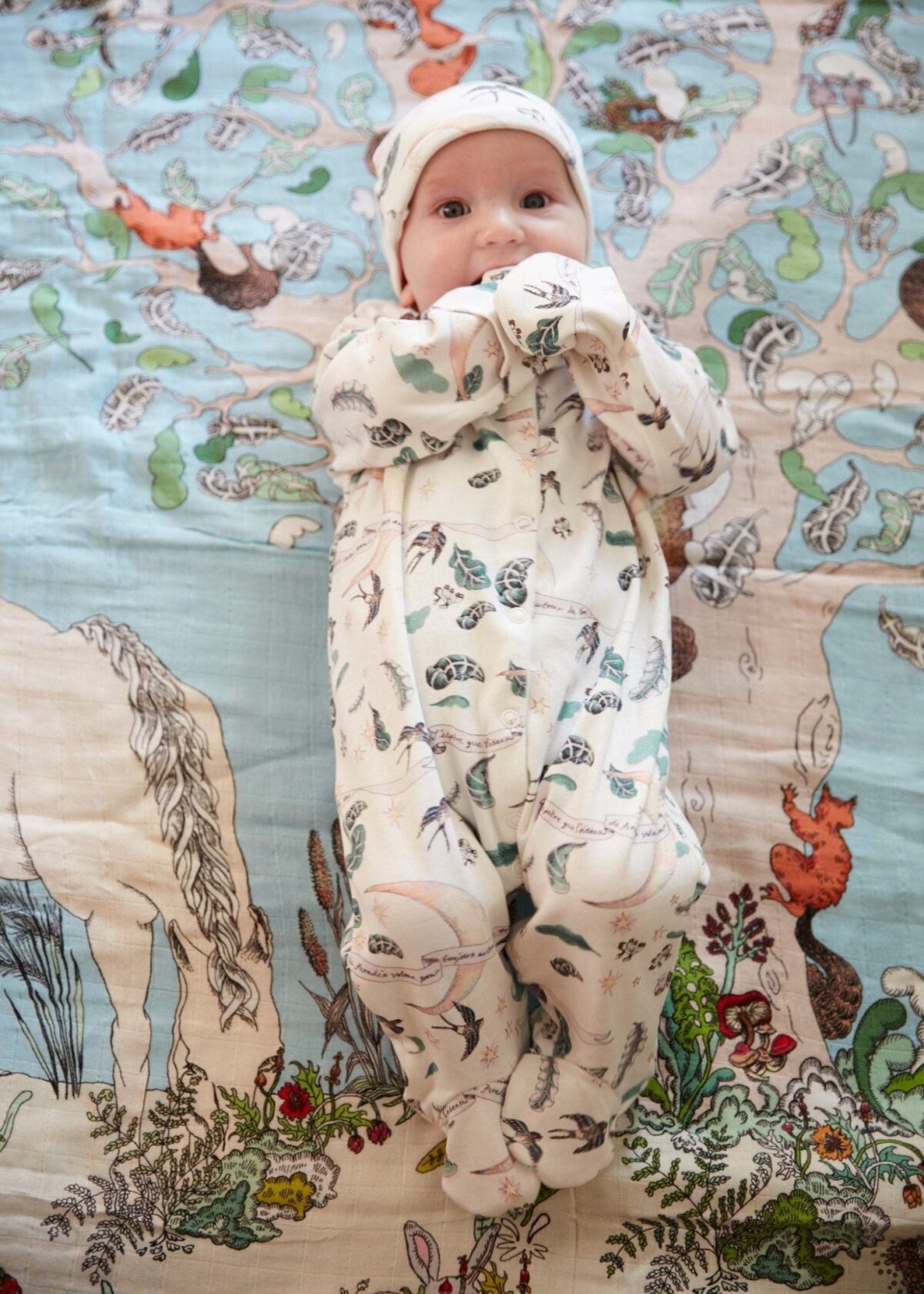 'I hope the bird of paradise flies around you always' Organic Cotton Babygrow - Image 4